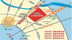 四川国际医药健康城项目案例