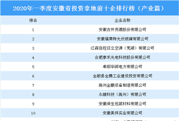 2020年一季度安徽省投资拿地前十企业排行榜（产业篇）