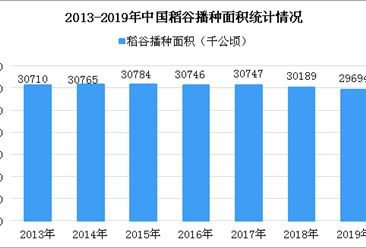 袁隆平：中國不會出現“糧荒” 近年我國稻谷單產大幅增長（圖）