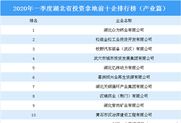 2020年一季度湖北省投资拿地前十企业排行榜（产业篇）