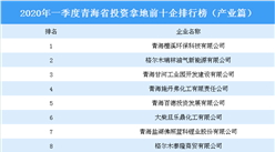 2020年一季度青海省投資拿地前十企排行榜（產業篇）