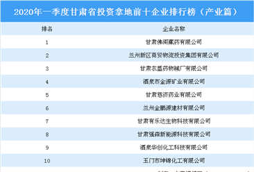 2020年一季度甘肃省投资拿地前十企业排行榜（产业篇）