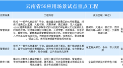 2020年云南省19项5G应用场景试点重点工程汇总一览（表）