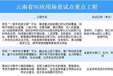 2020年云南省19項5G應用場景試點重點工程匯總一覽（表）