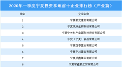2020年一季度宁夏投资拿地前十企排行榜（产业篇）