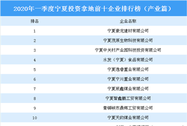 2020年一季度宁夏投资拿地前十企业排行榜（产业篇）