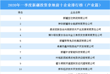 2020年一季度新疆投资拿地前十企业排行榜（产业篇）