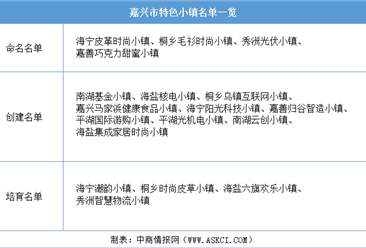 浙江2020年省级特色小镇申报：嘉兴市特色小镇名单一览（附表）