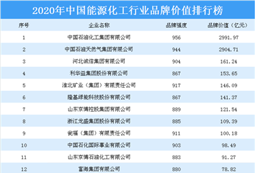 2020年中國能源化工行業品牌價值排行榜