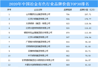 2020年中国冶金有色行业板材价值TOP30排行榜