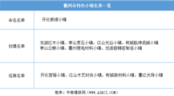 浙江2020年省級特色小鎮申報：衢州市特色小鎮名單一覽（附表）