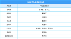 2020年云南省特色旅游城市名单公布！石林县等15家单位入选