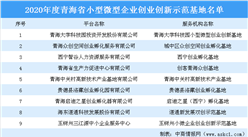 2020年度青海省小型微型企業創業創新示范基地名單：共9大基地上榜