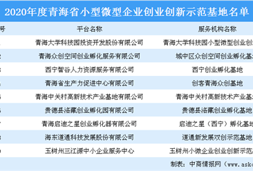 2020年度青海省小型微型企業創業創新示范基地名單：共9大基地上榜