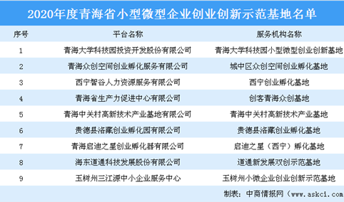 2020年度青海省小型微型企业创业创新示范基地名单：共9大基地上榜