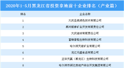 产业地产投资情报：2020年1-5月黑龙江省投资拿地前十企业排行榜（产业篇）