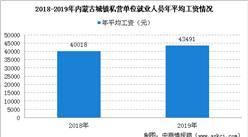 2019年内蒙古城镇私营单位就业人员年平均工资情况分析（图）