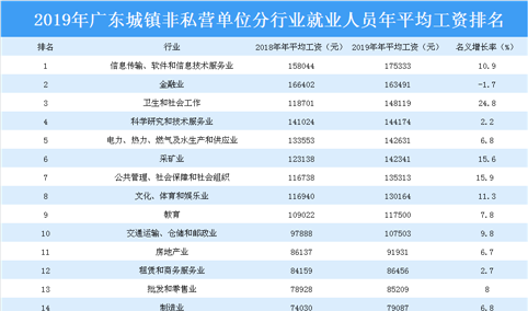 2019年广东城镇非私营单位分行业就业人员年平均工资排行榜