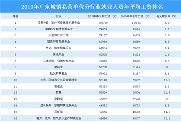 2019年广东城镇私营单位分行业就业人员年平均工资排行榜