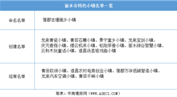 浙江2020年省级特色小镇申报：丽水市特色小镇名单一览（附表）
