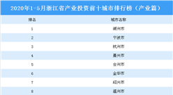 2020年1-5月浙江省产业投资前十城市排名（产业篇）
