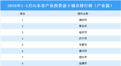 2020年1-5月山东省产业投资前十城市排名（产业篇）