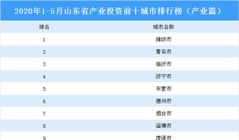 2020年1-5月山东省产业投资前十城市排名（产业篇）