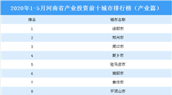 2020年1-5月河南省產業投資前十城市排名（產業篇）
