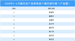 2020年1-5月湖北省产业投资前十城市排名（产业篇）