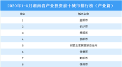 2020年1-5月湖南省產業投資前十城市排名（產業篇）