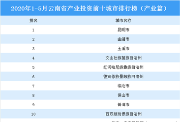 2020年1-5月云南省产业投资前十城市排名（产业篇）