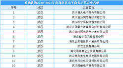湖北省2020-2021年度电子商务示范企业拟入选名单出炉：共70家企业