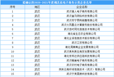湖北省2020-2021年度电子商务示范企业拟入选名单出炉：共70家企业