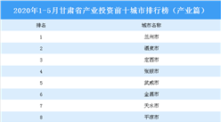 2020年1-5月甘肃省产业投资前十城市排名（产业篇）
