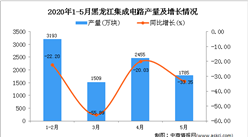 2020年1-5月黑龙江集成电路产量为8942万块 同比下降32.63%