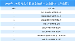产业地产投资情报：2020上半年河北省投资拿地前十企业排行榜（产业篇）