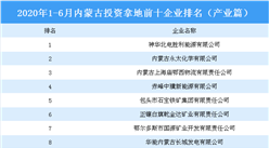 产业地产投资情报：2020上半年内蒙古投资拿地前十企业排行榜（产业篇）