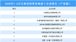 产业地产投资情报：2020上半年吉林省投资拿地前十企业排行榜（产业篇）