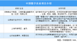 阿里与淄博共建数字农业产业中心 中国数字农业行业发展现状分析（图）