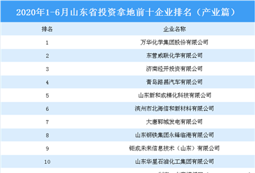 产业地产投资情报：2020上半年山东省投资拿地前十企业排行榜（产业篇）
