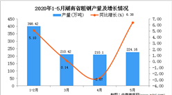 2020年1-5月湖南省粗鋼產(chǎn)量為1043.09萬(wàn)噸 同比增長(zhǎng)3.83%