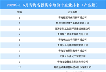 产业地产投资情报：2020年1-6月青海省投资拿地前十企业排行榜（产业篇）