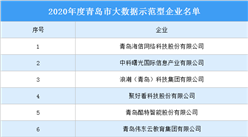 2020年度青島市大數據示范型企業名單（附完整名單）