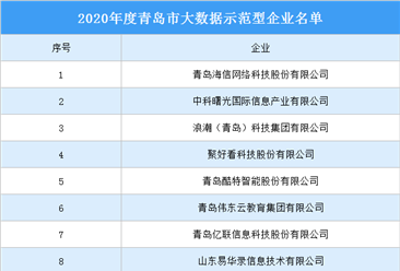 2020年度青岛市大数据示范型企业名单（附完整名单）