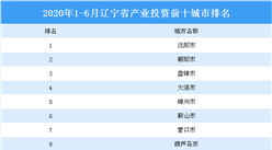 2020上半年辽宁省产业投资前十城市排名（产业篇）