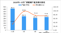 2020年5月廣西粗鋼產(chǎn)量及增長情況分析