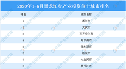 2020上半年黑龍江省產業投資前十城市排名（產業篇）