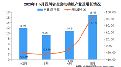 2020年1-5月四川省交流电动机产量为49.16万千瓦   同比增长0.41%