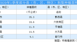2020年貴州省刺梨產業發展調研報告（附圖表）