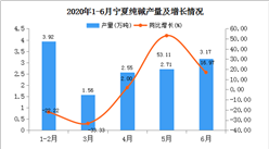 2020年1-6月宁夏纯碱产量为3.17万吨  同比下降70.48%